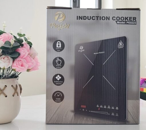Bếp từ đơn cao cấp perfekt