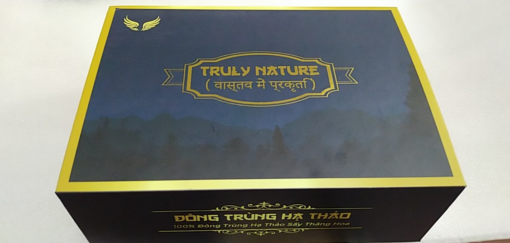 Đông trùng hạ thảo - Image 4